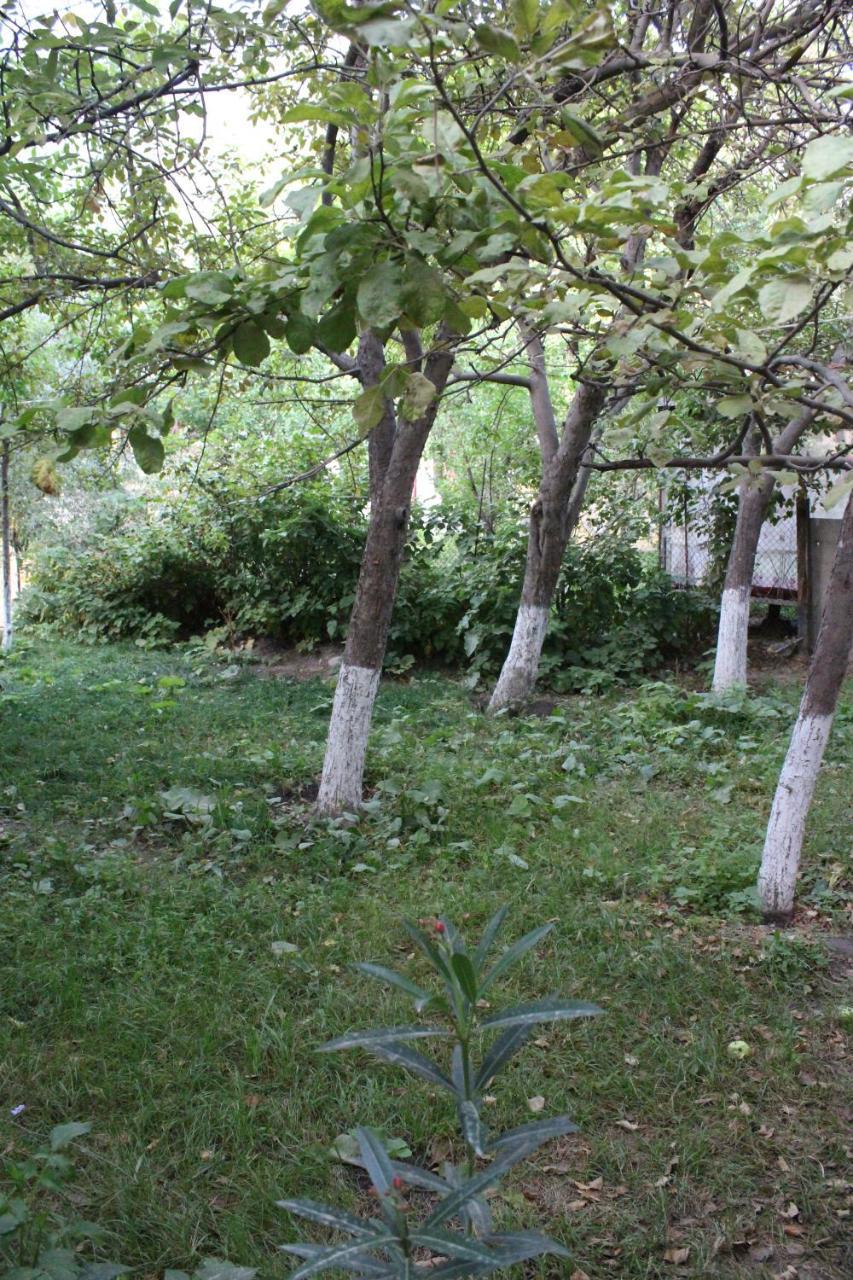 Riverside Khorog Екстер'єр фото